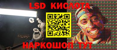 крисы Будённовск