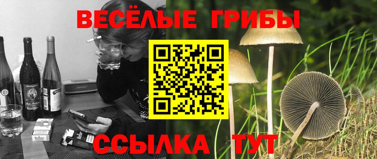 Галлюциногенные грибы GOLDEN TEACHER Северодвинск